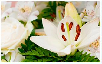 Funeraria Artés flores blancas